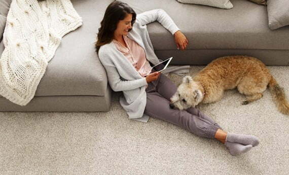 colorwall-findyourcomfort-flooring Lady with pet sitting in living room | Fairmont Flooring