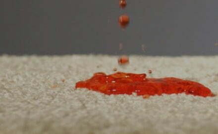 Carpet cleaning | Fairmont Flooring