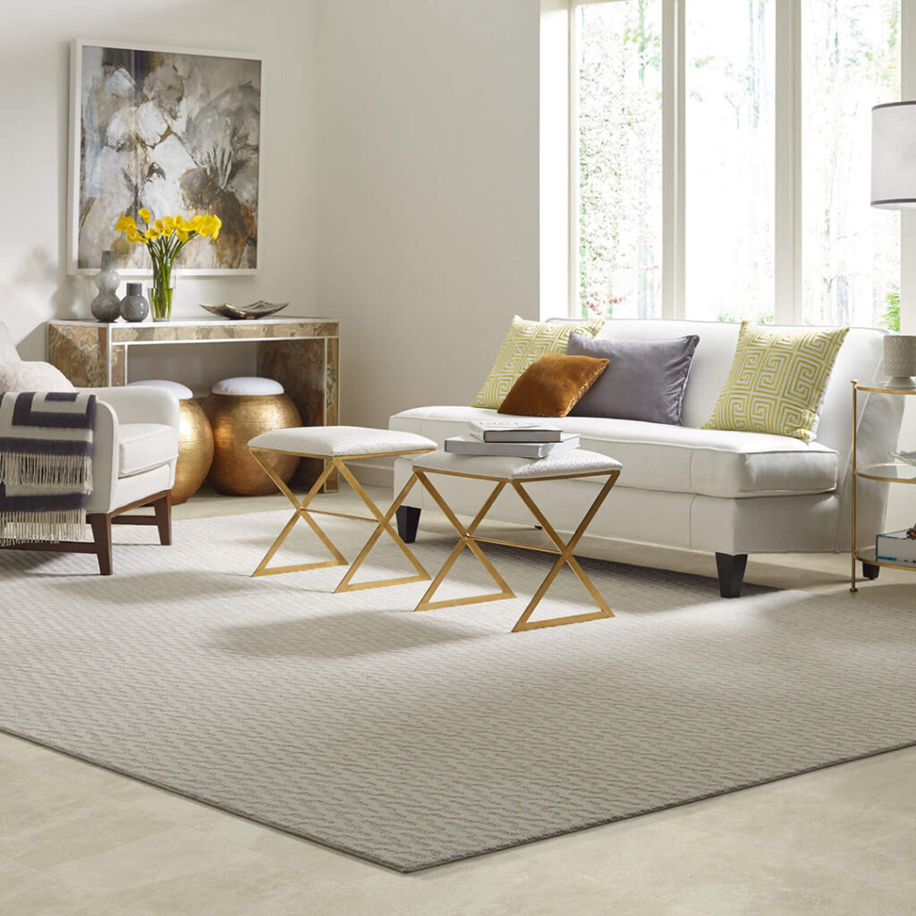 Living Room Area Rug | Fairmont Flooring